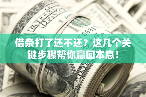 武汉借条打了还不还？这几个关键步骤帮你赢回本息！