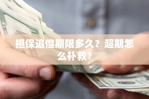 武汉担保追偿期限多久？超期怎么补救？