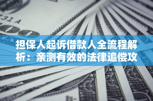武汉担保人起诉借款人全流程解析：亲测有效的法律追偿攻略
