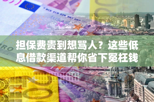 武汉担保费贵到想骂人？这些低息借款渠道帮你省下冤枉钱